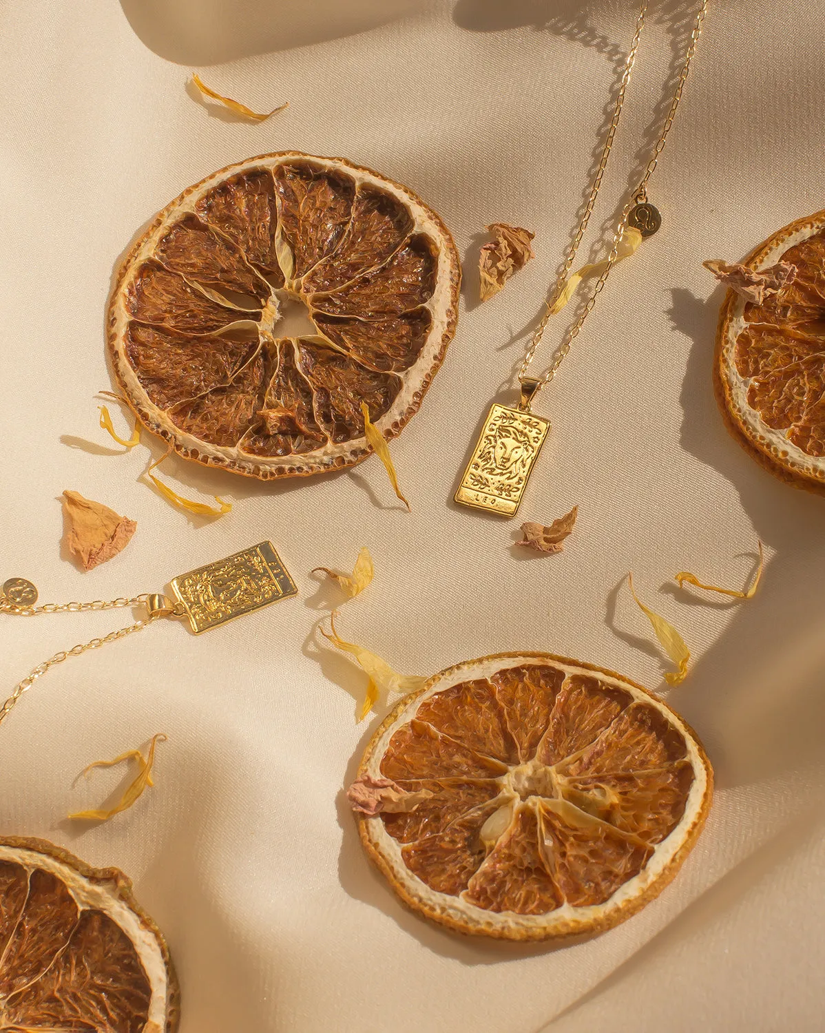 Leo Zodiac Necklace